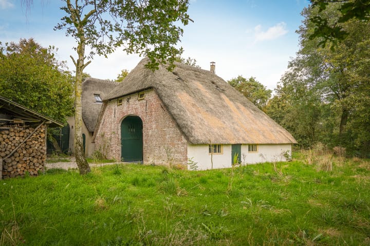 Foto 4 van Aaldert 9