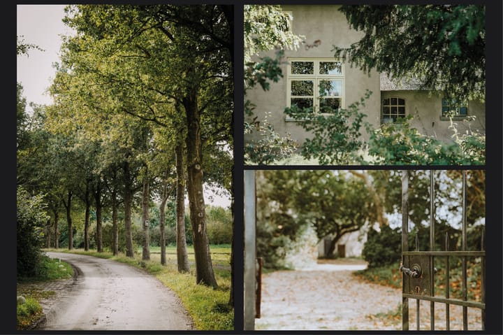 Foto 6 van Aaldert 9