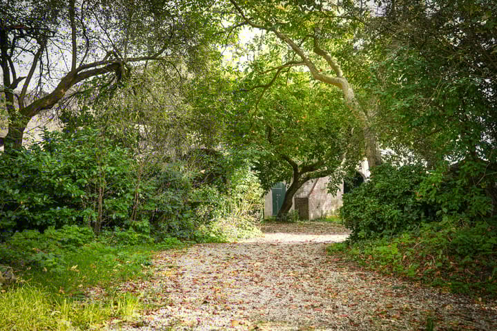 Foto 7 van Aaldert 9