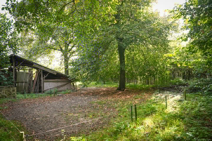 Foto 40 van Aaldert 9