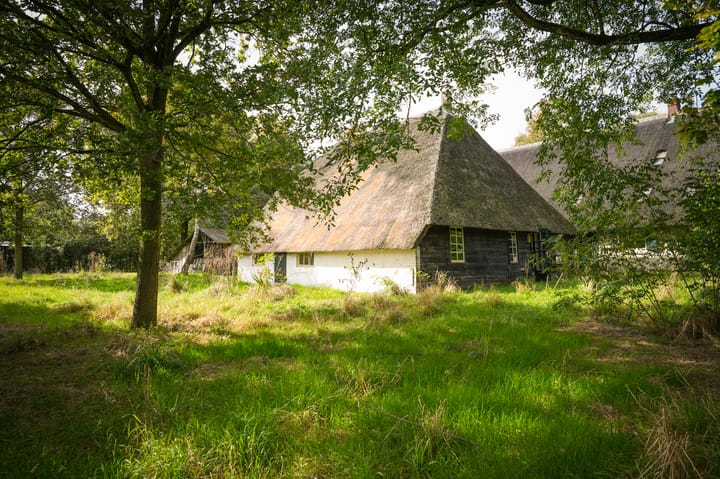 Foto 42 van Aaldert 9