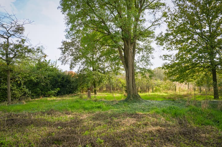 Foto 49 van Aaldert 9