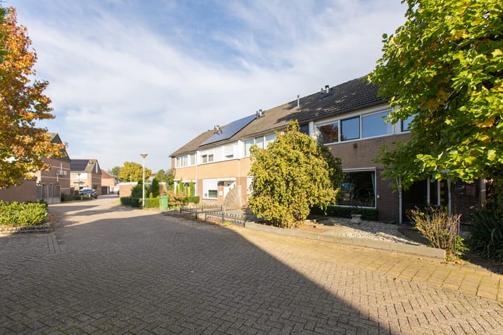 Foto 8 van De Hangaarts 54