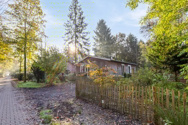 Foto 7 van De Stille Wille 84