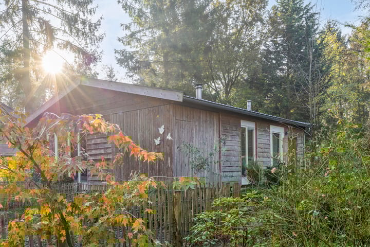 Foto 22 van De Stille Wille 84