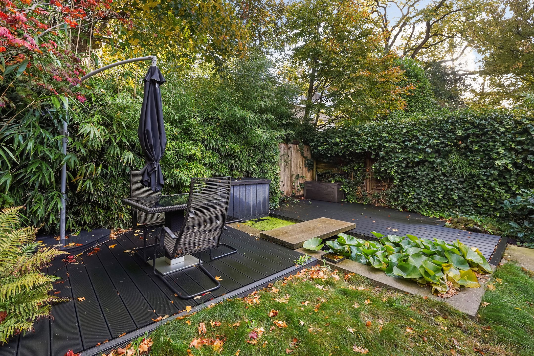 Photo 12 of Olgaland 16