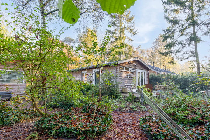 Foto 28 van De Stille Wille 84