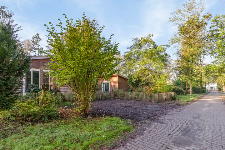 Foto 32 van De Stille Wille 84