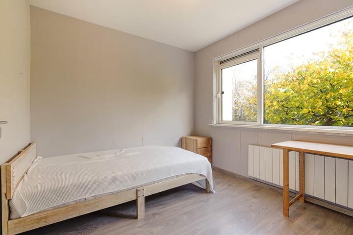 Photo 30 of Olgaland 16