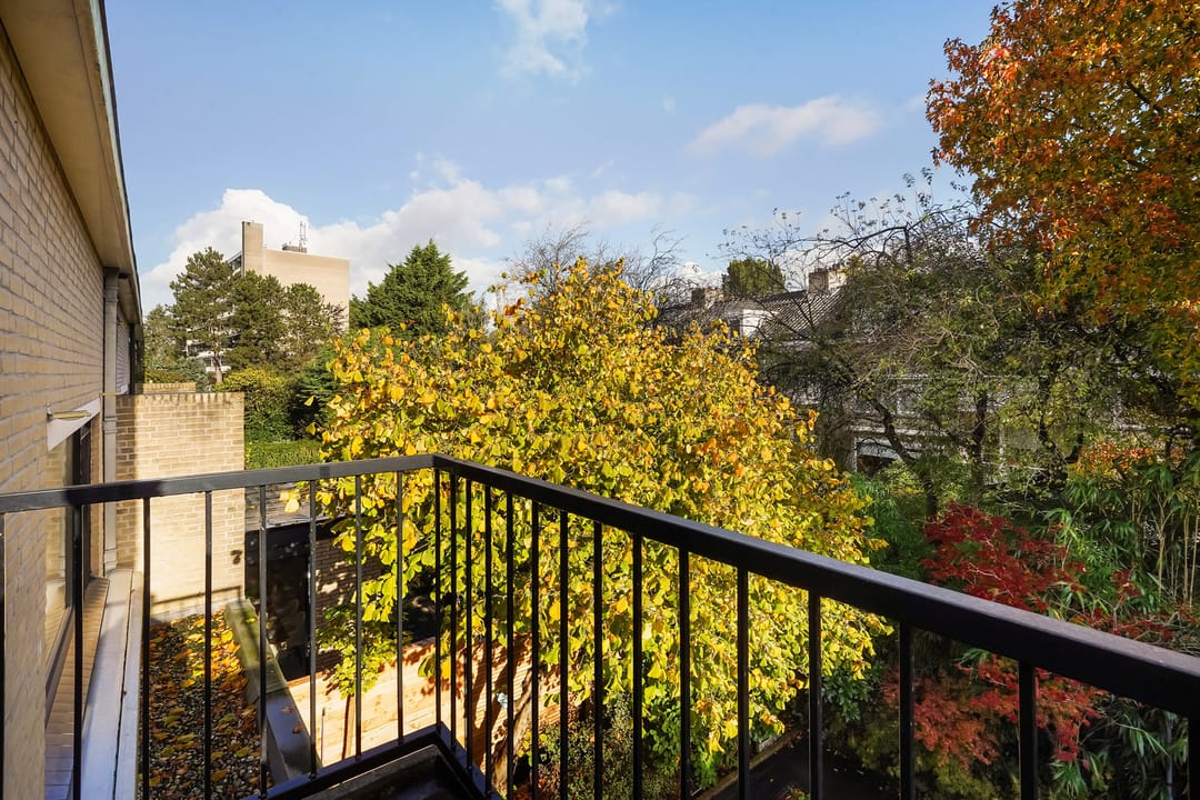 Photo 41 of Olgaland 16