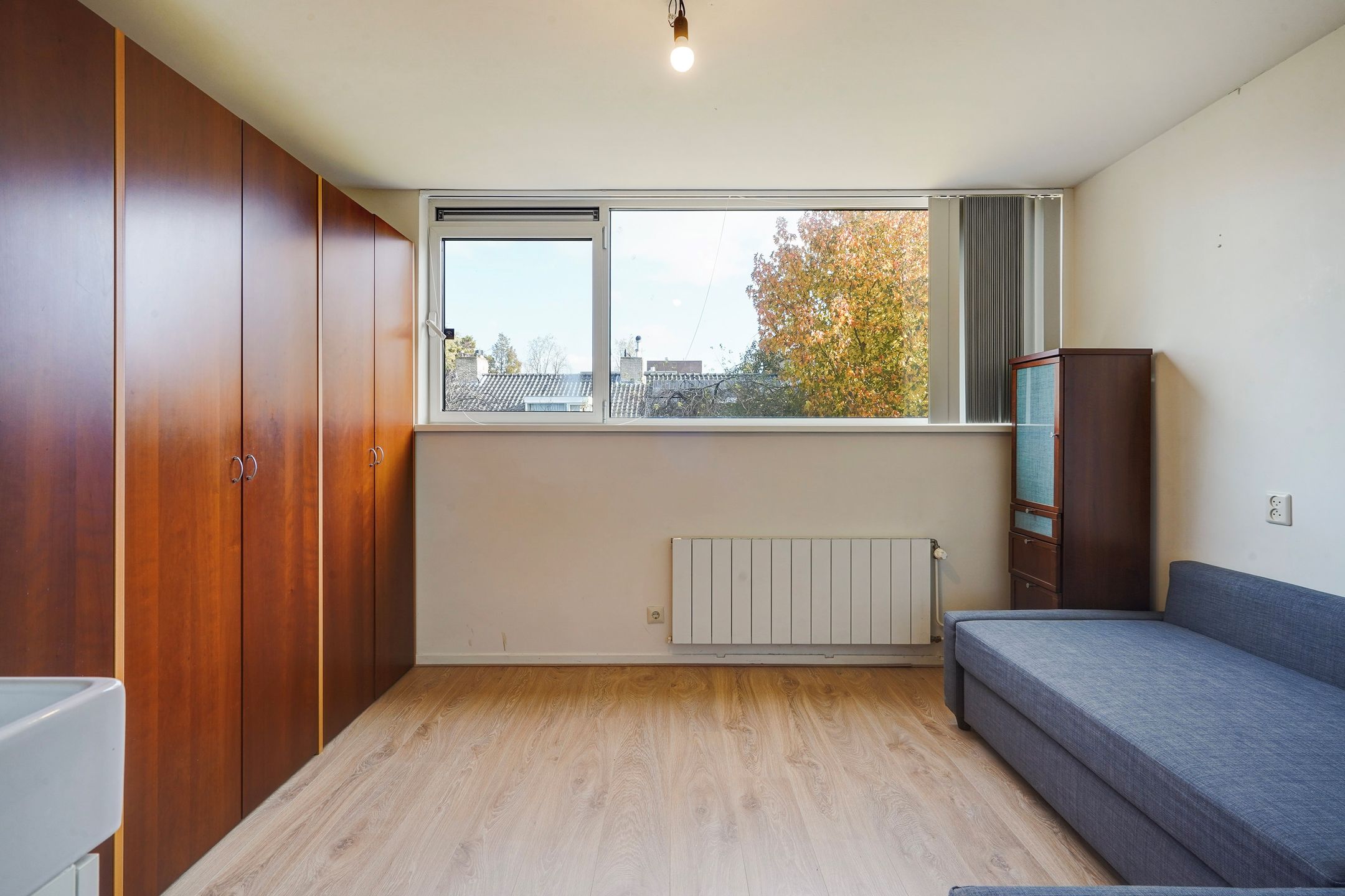 Photo 54 of Olgaland 16