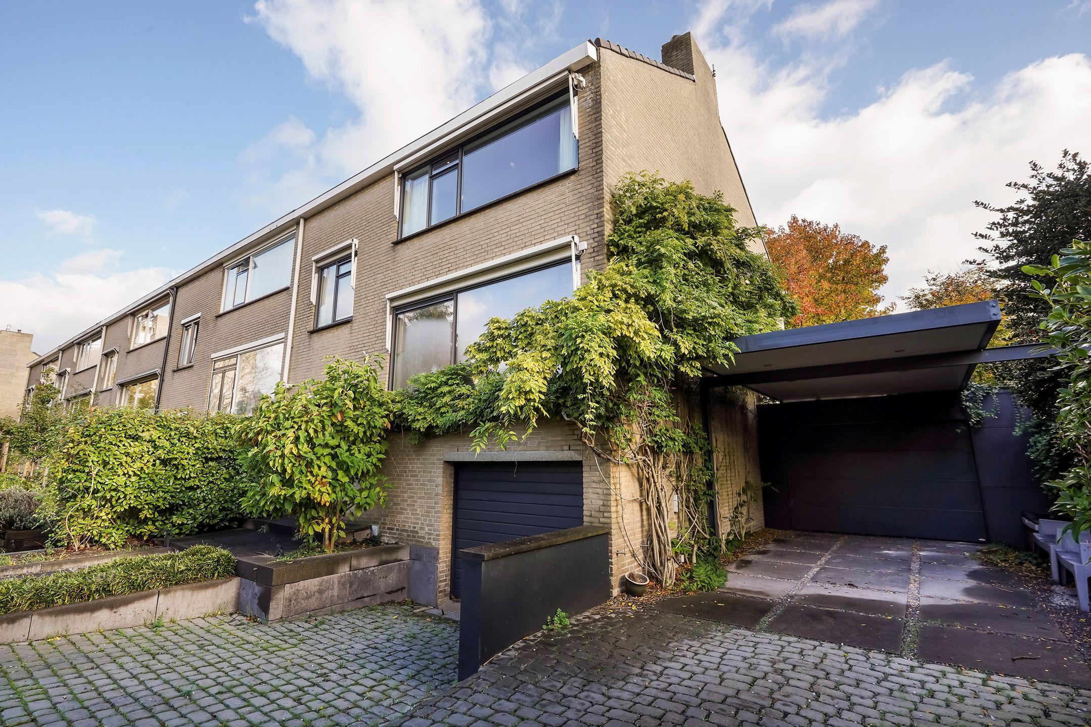 Photo 60 of Olgaland 16