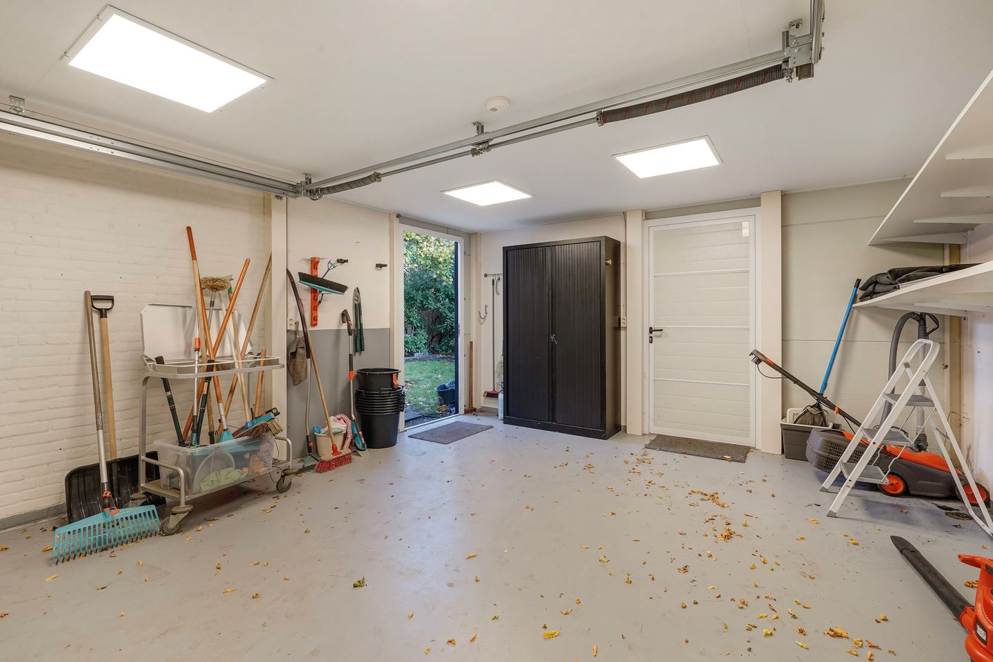 Photo 64 of Olgaland 16