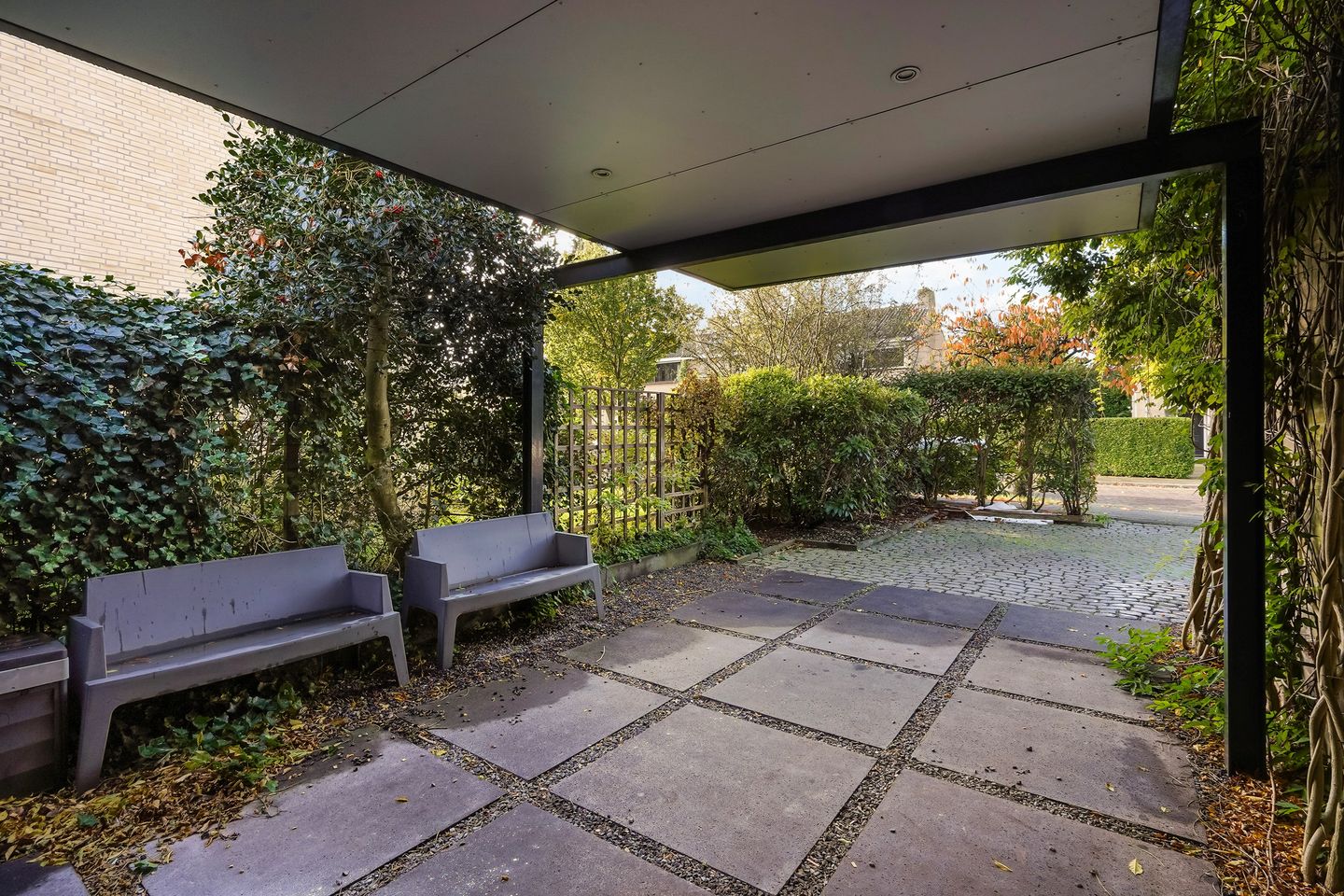 Photo 65 of Olgaland 16