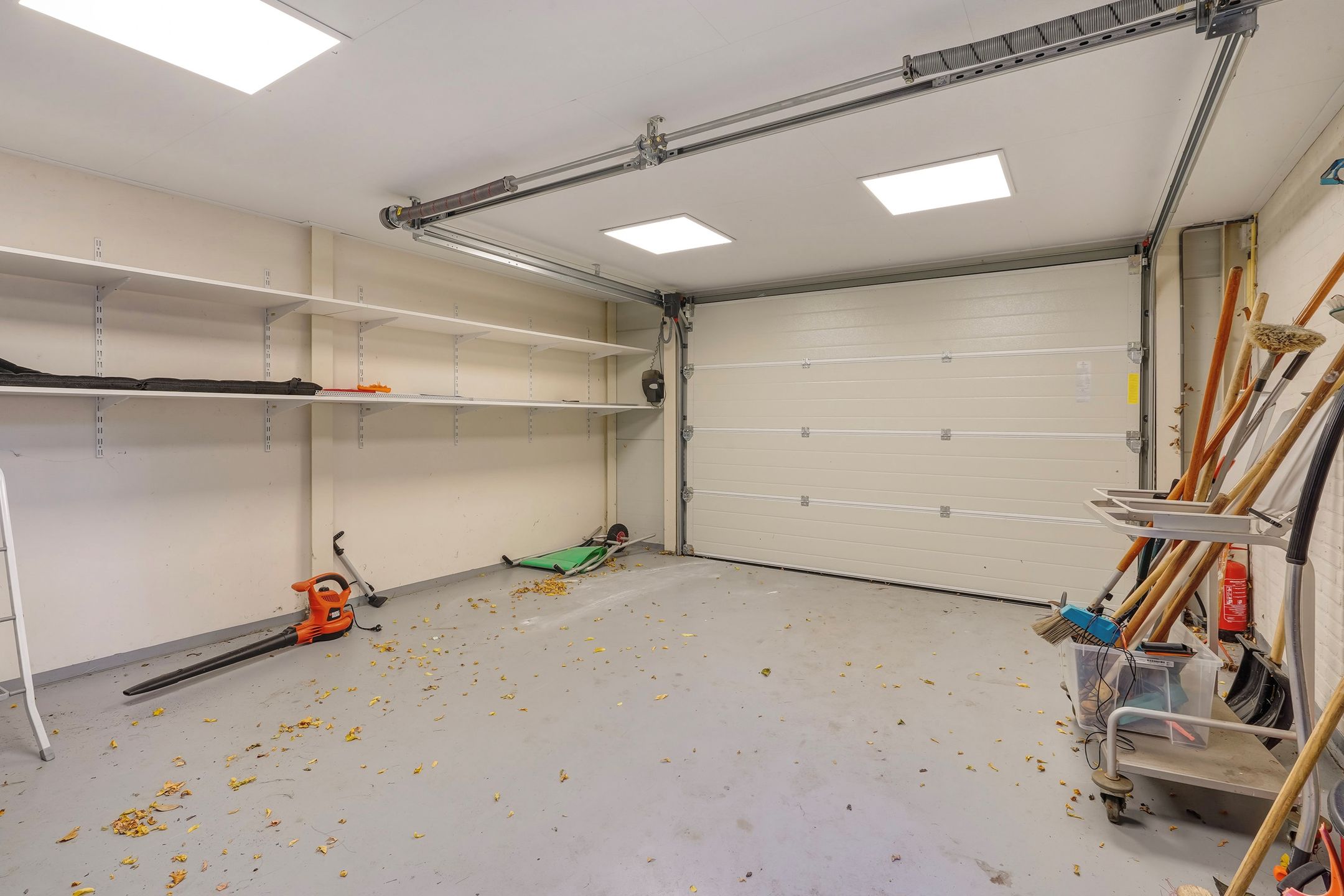 Photo 63 of Olgaland 16