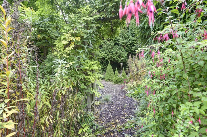 Foto 50 van Westelijke Randweg 4