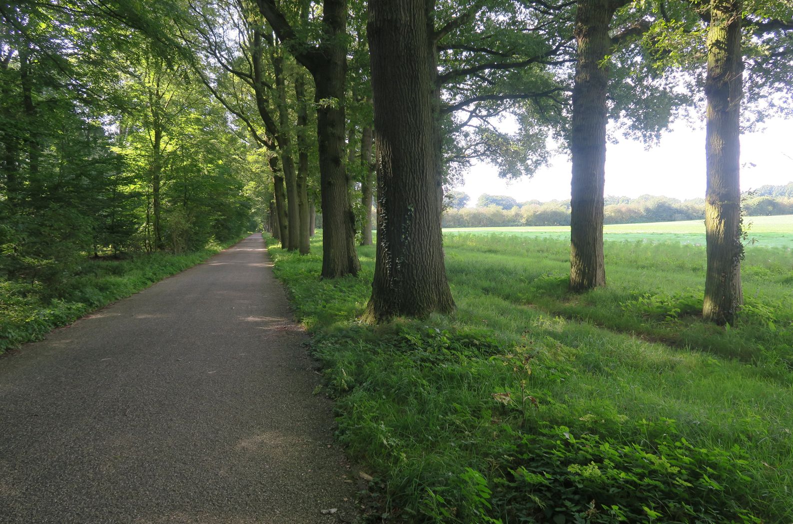 Photo 45 of Koningsweg 14-V45