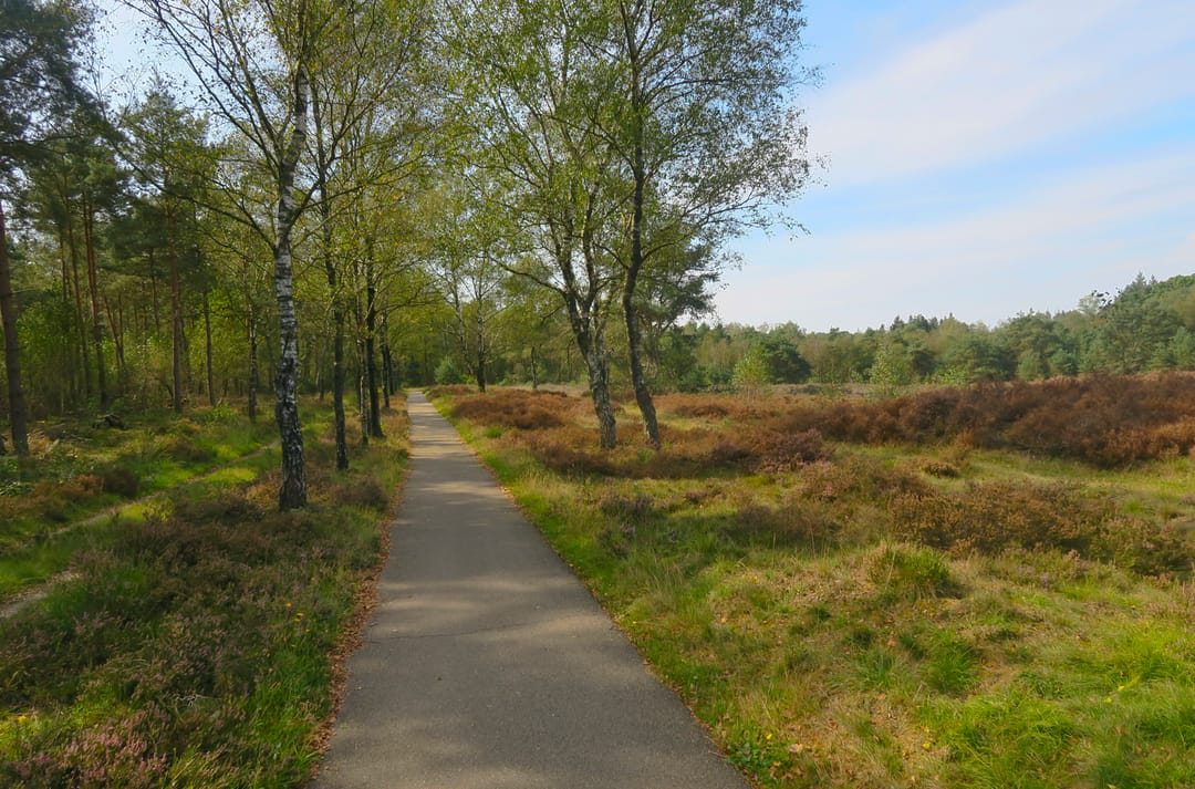 Photo 46 of Koningsweg 14-V45