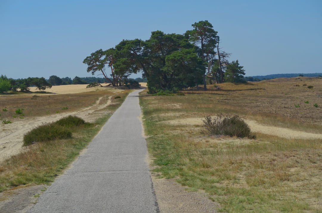 Photo 47 of Koningsweg 14-V45