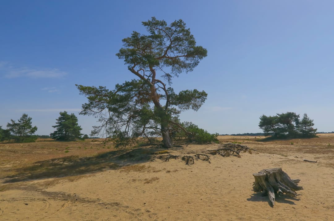 Photo 52 of Koningsweg 14-V45