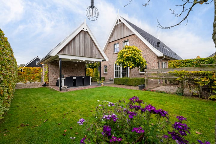 Foto 2 van Framboos 3