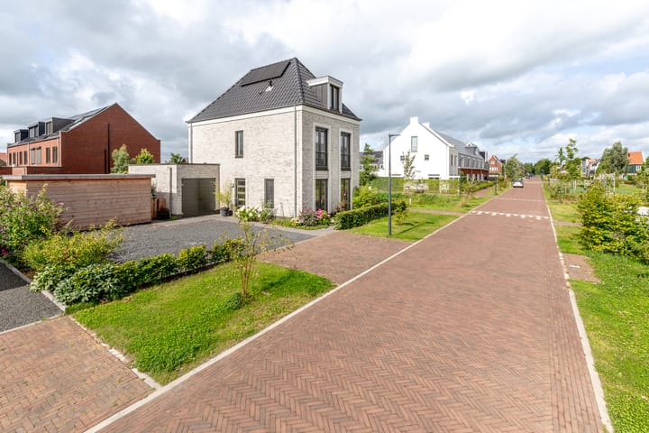 Foto 7 van Droogmakerij 7