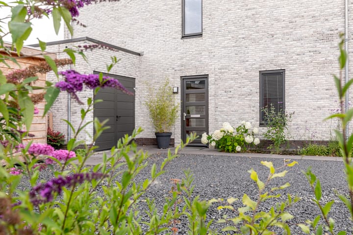 Foto 9 van Droogmakerij 7