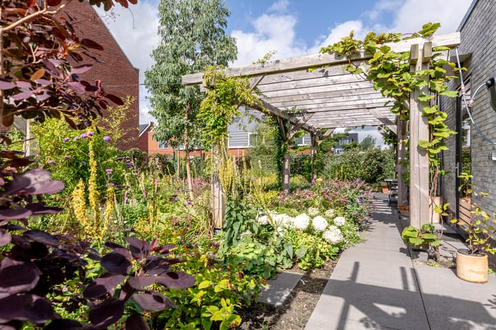 Foto 53 van Droogmakerij 7