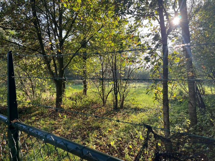 Foto 33 van Graspeel 19-A