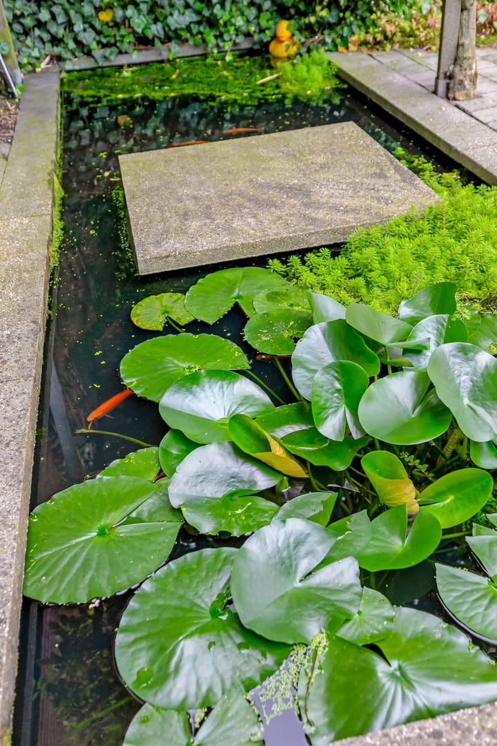 Foto 33 van Laurens Kosterplein 8