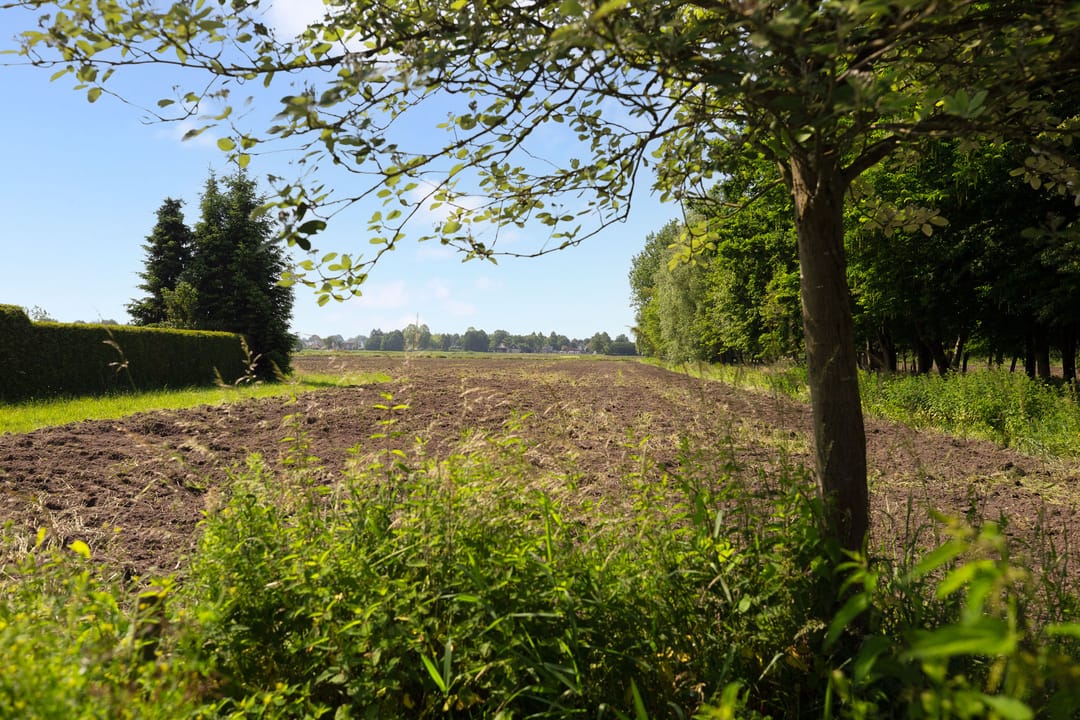 Photo 31 of De Hanze 32