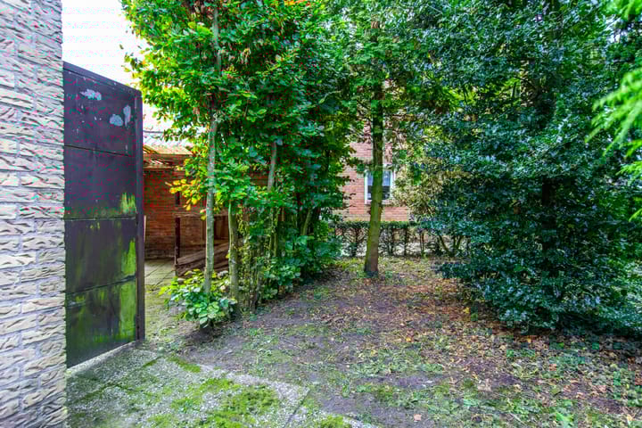 Foto 38 van W.H. Bollaertstraat 3