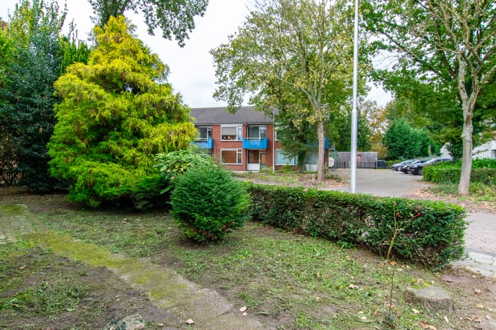 Foto 49 van W.H. Bollaertstraat 3