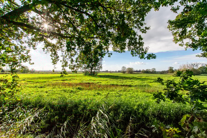 Foto 2 van Calfven 95