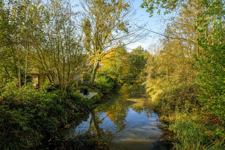 Bekijk foto 51 van Maaibeemd 91