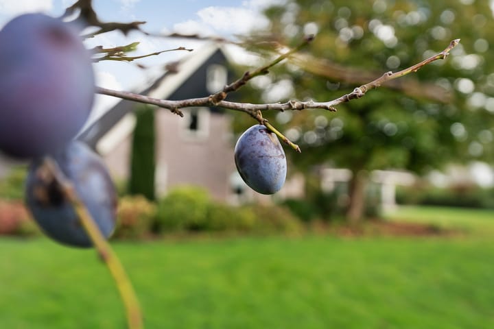 Foto 44 van Nieuwe Dijk 13