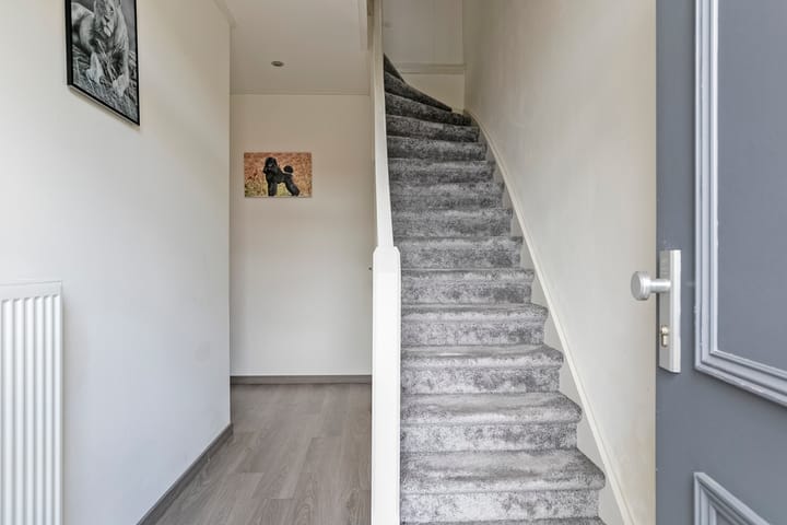 Foto 13 van Axelsestraat 80