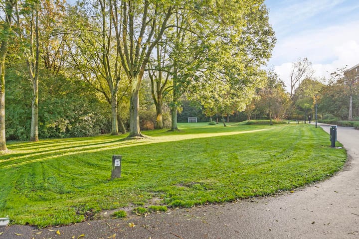 Foto 28 van Rosmolen 98