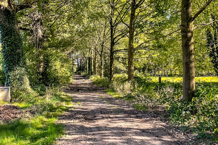 Bekijk foto 36 van Rijksweg 14