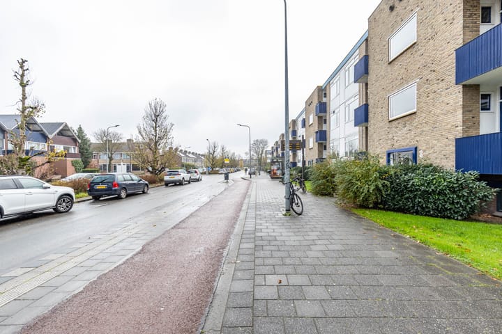 Foto 24 van Kastanjelaan 66