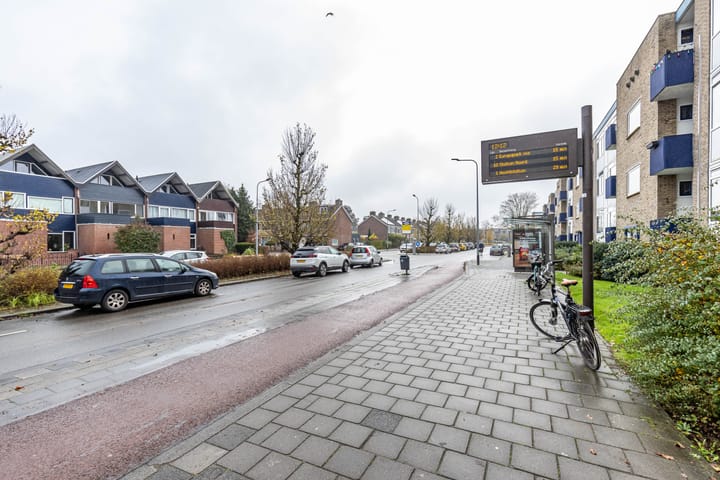 Foto 31 van Kastanjelaan 66