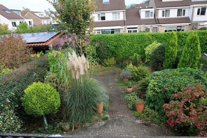 View photo 20 of De Vriendschap 39