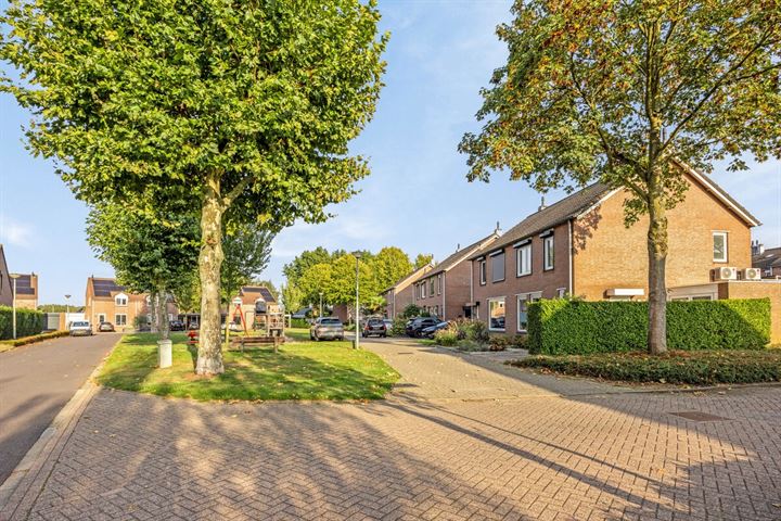 Bekijk foto 35 van Wienkeskoel 31