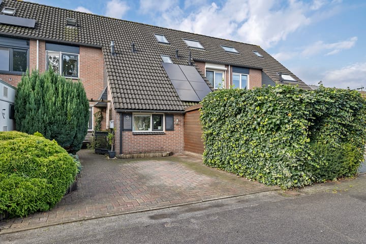 Foto 1 van Sneeuwvink 3