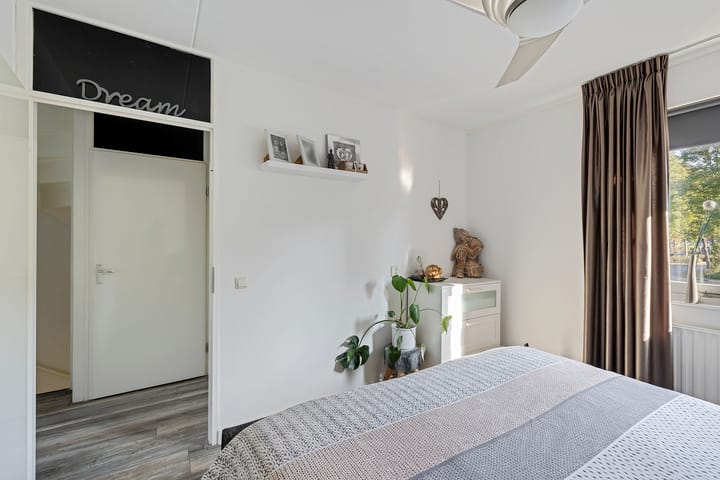 Foto 22 van Sneeuwvink 3