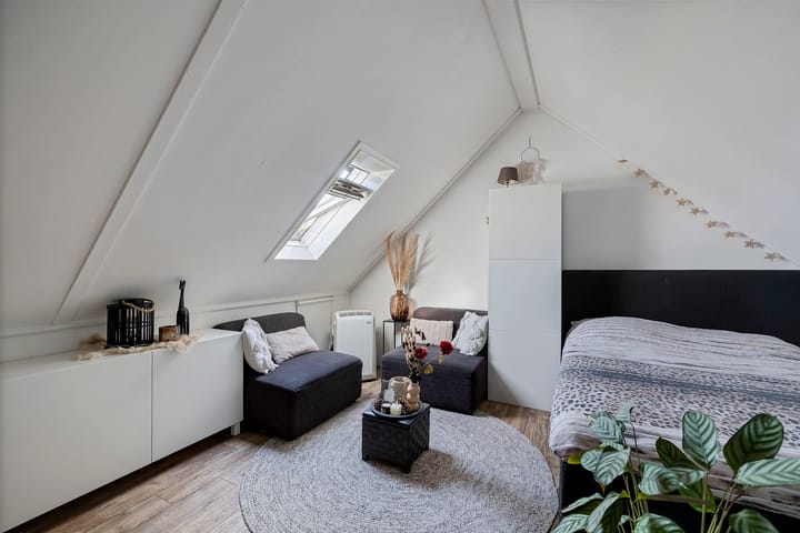 Foto 28 van Sneeuwvink 3