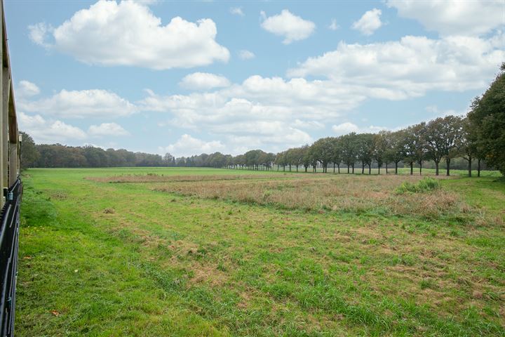 Bekijk foto 30 van Eijkersstraat 67