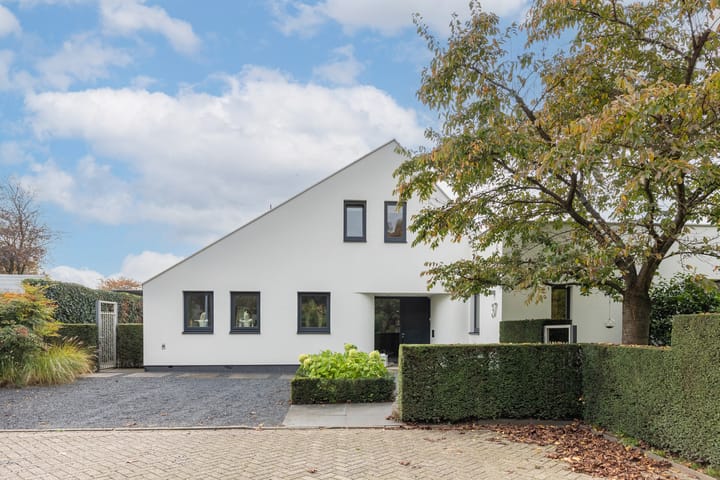 Foto 4 van van Raesfeltstraat 37