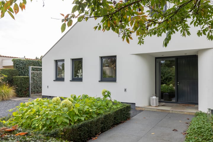 Foto 5 van van Raesfeltstraat 37