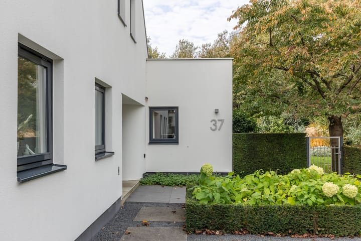 Foto 6 van van Raesfeltstraat 37